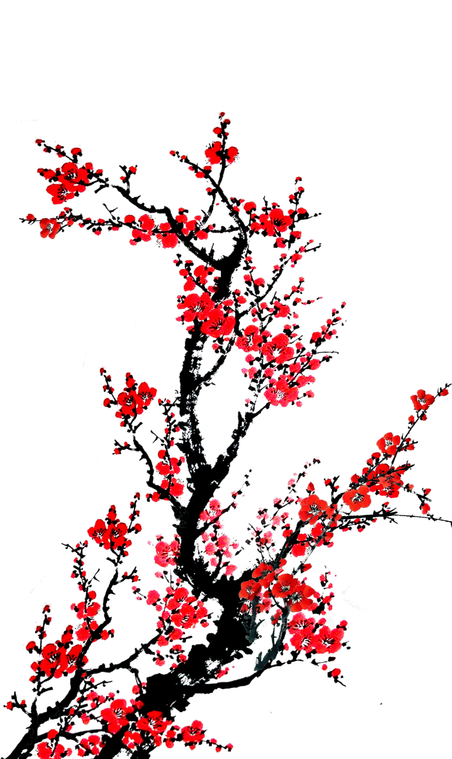 Décoration florales